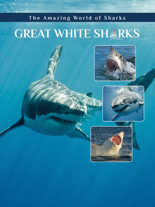 Title details for Great White Sharks by Elizabeth Roseborough - Available